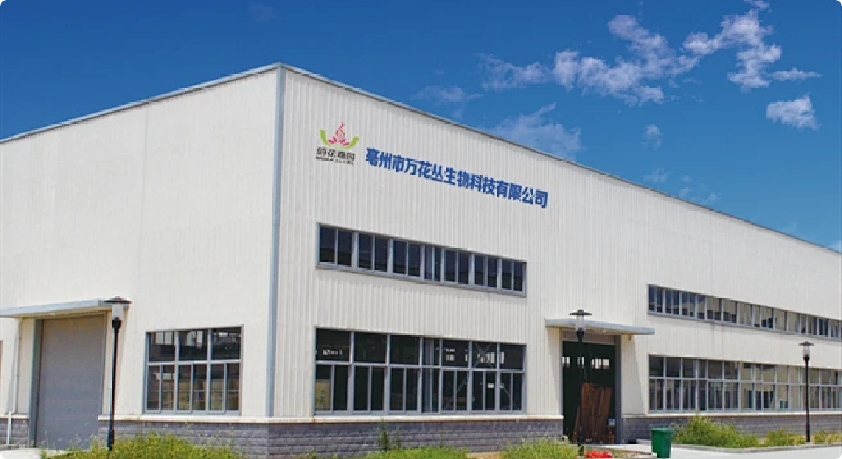 Main Factory Building